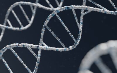 Epigenética, ¿qué es y cómo se expresa?